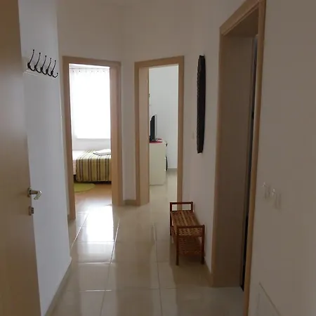 Toni, Borik ザダル