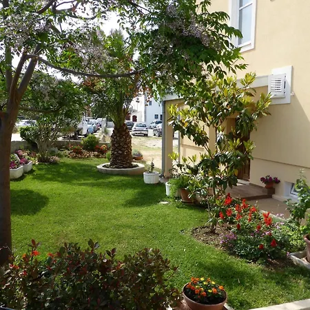 Toni, Borik ザダル