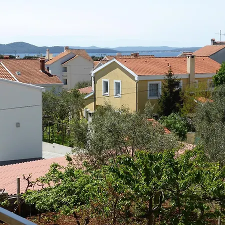 Toni, Borik ザダル