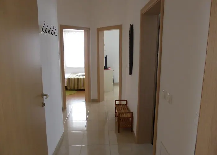 Toni, Borik 扎达尔